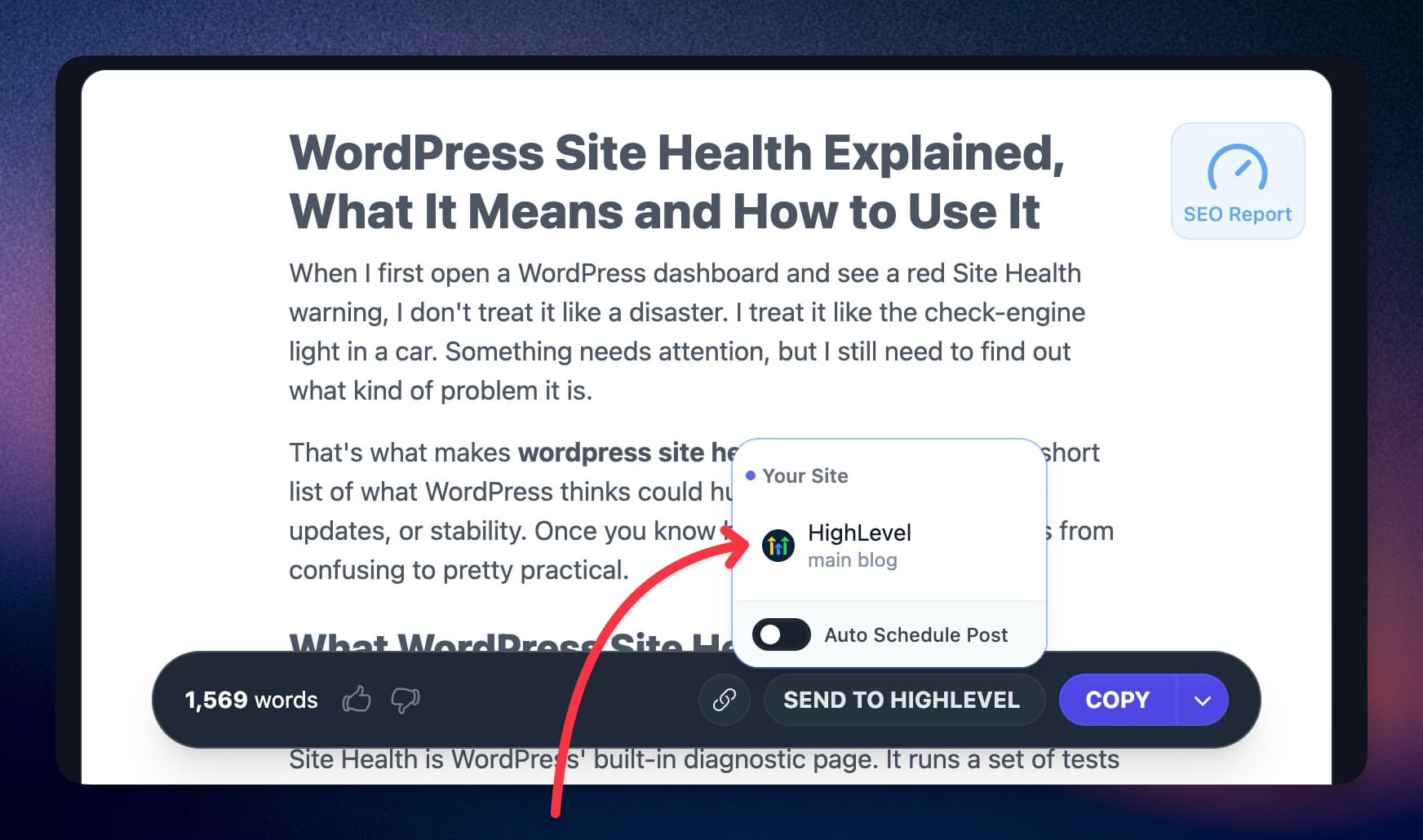SEO and Hosted Assets screenshot