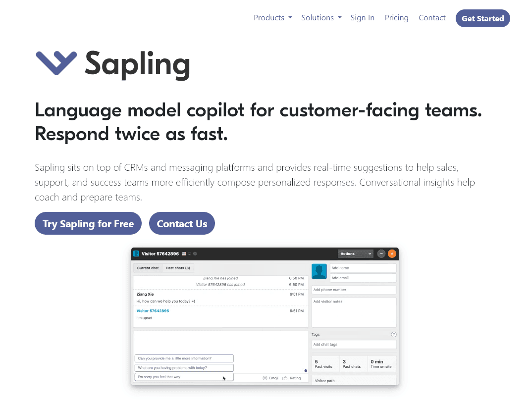 Sapling AI Detector Tool (Screen Shot of Tool)