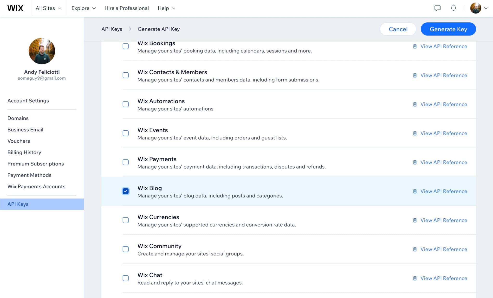 Making an api key in Wix