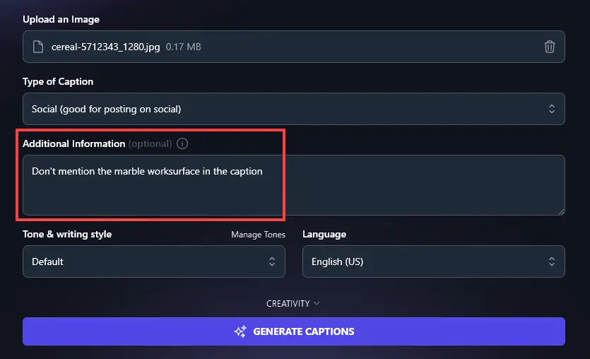 Giving Additional Information to the RightBlogger Image Caption Generator