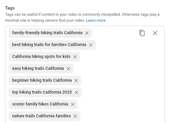 Pasting Your List of Tags into the Tags Section for Your YouTube Video