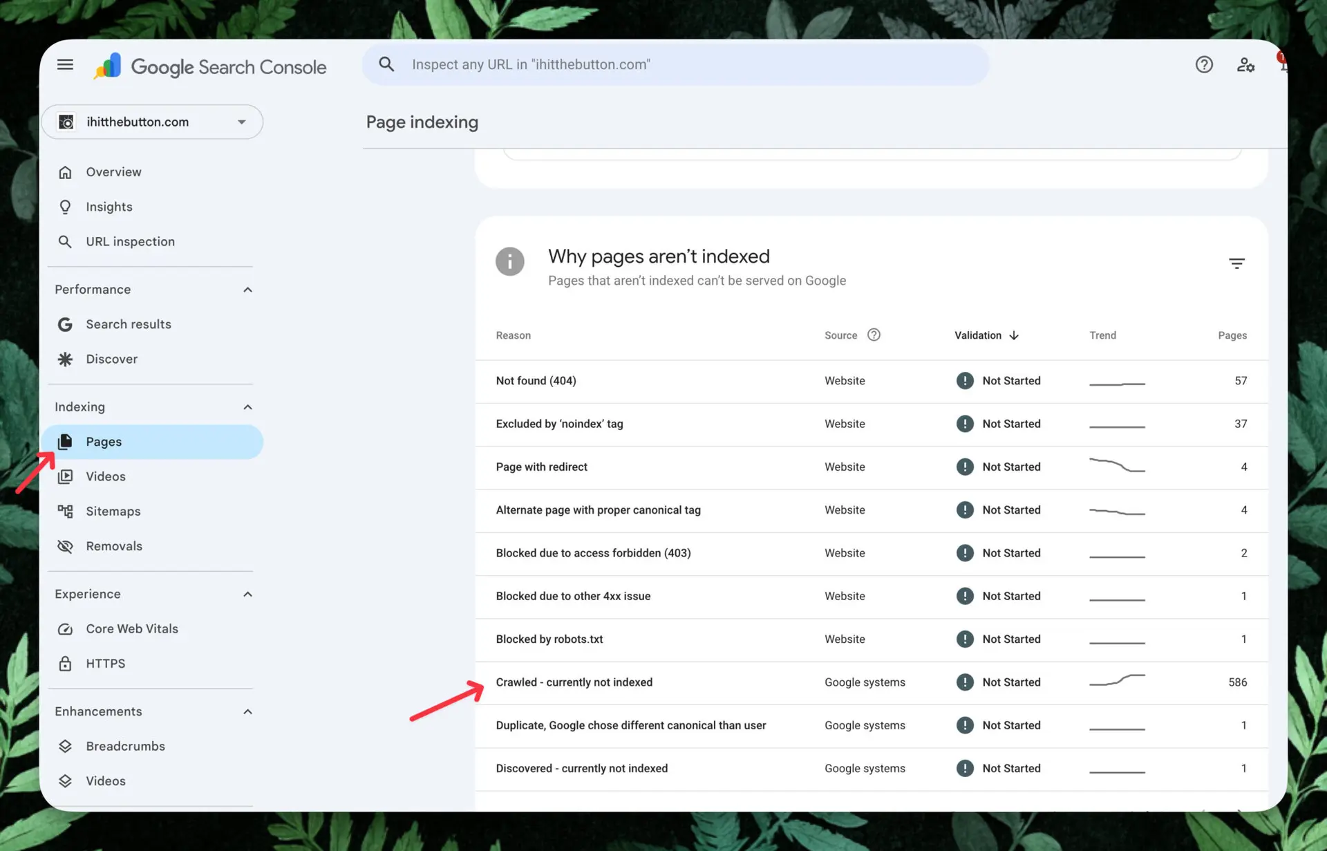 Google Search Console Crawled but not indexed